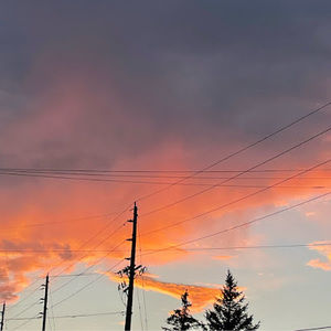 Meet your Posher, Ashlee